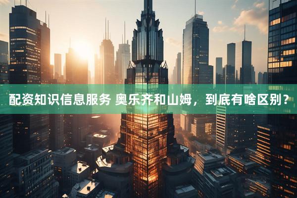 配资知识信息服务 奥乐齐和山姆，到底有啥区别？