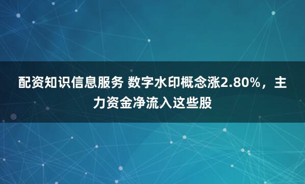 配资知识信息服务 数字水印概念涨2.80%，主力资金净流入这些股